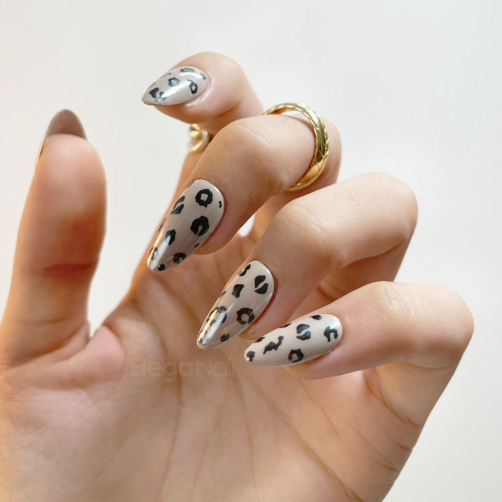 Leopard/نمر