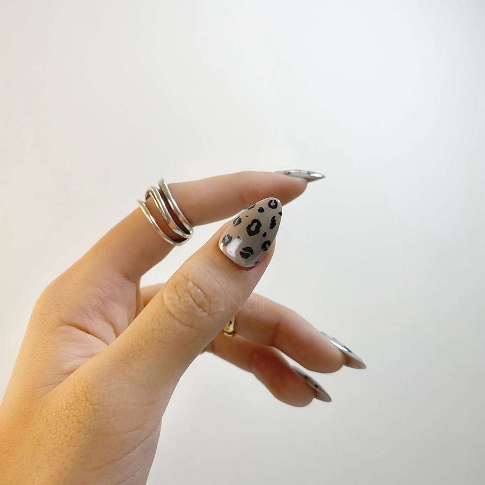 Leopard/نمر