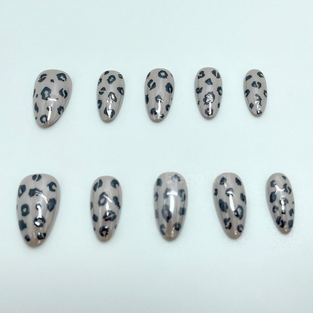 Leopard/نمر