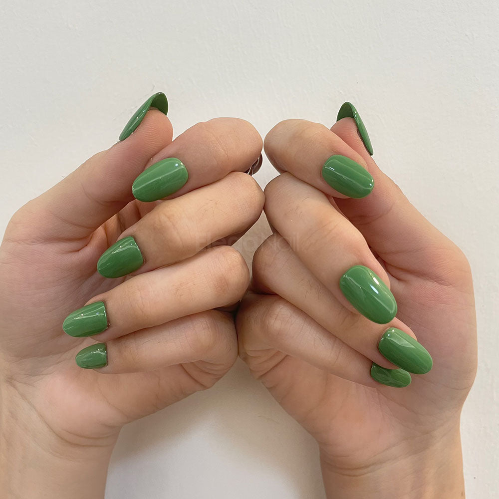 Macha/ماتشا
