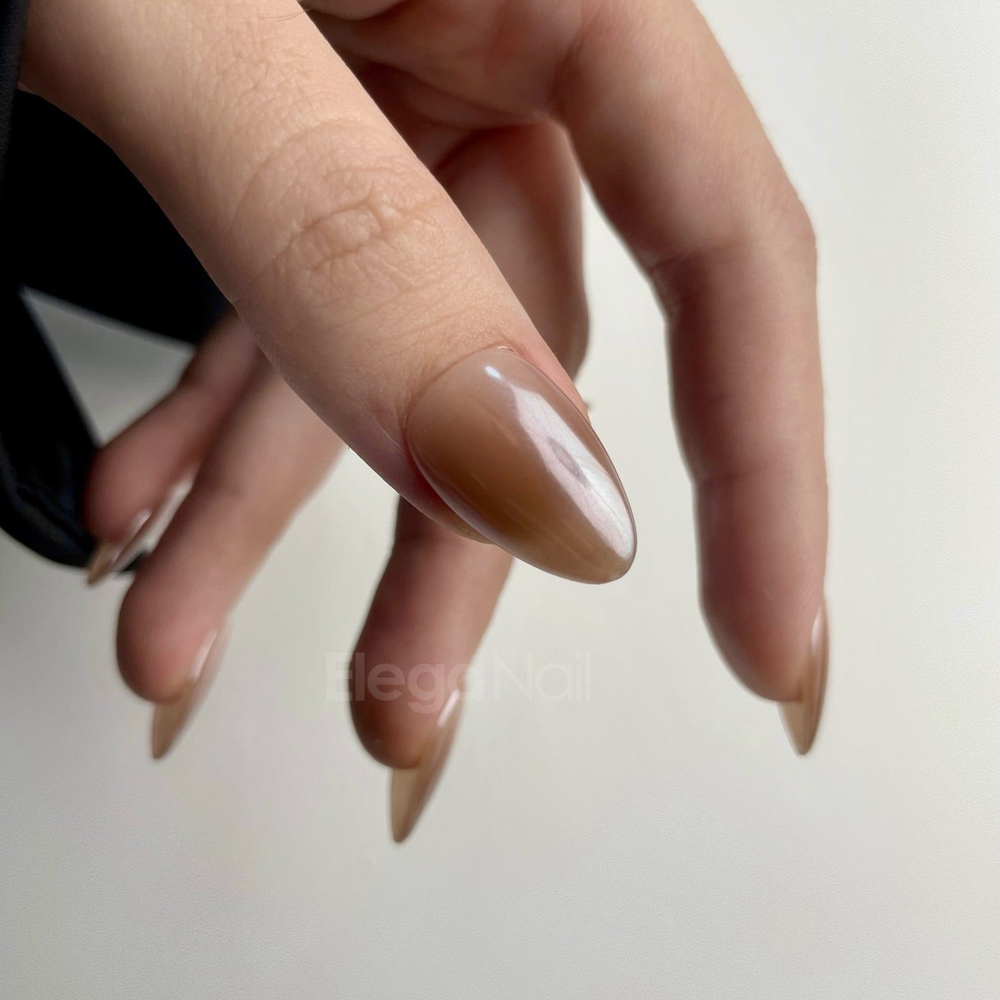 Chic / شيك