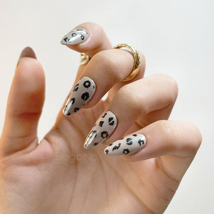 Leopard/نمر